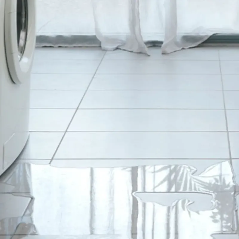 Appliance Leak Cleanup in Dickson County, TN