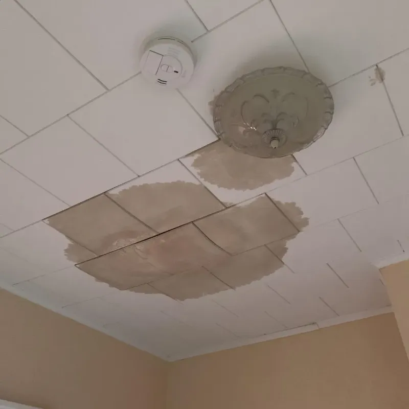 Ceiling Water Damage Repair in Dickson County, TN