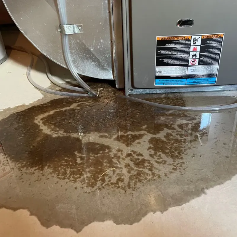 Pipe Burst and Leak Restoration in Dickson County, TN