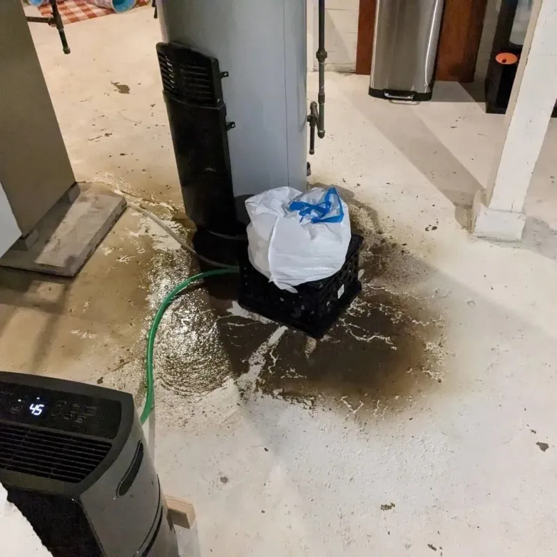 Sewage Backup Cleanup Service in Dickson County, TN